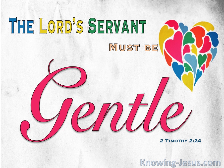 2 Timothy 2:24 The Gentle Spirit (devotional)01:19 (red)
